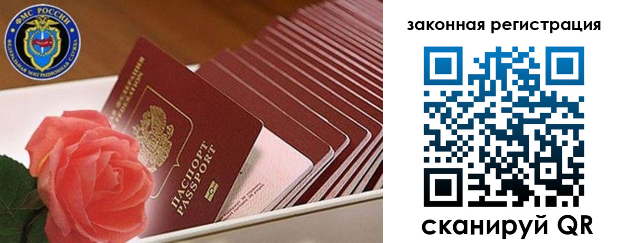 пропишу в квартире в Щиграх